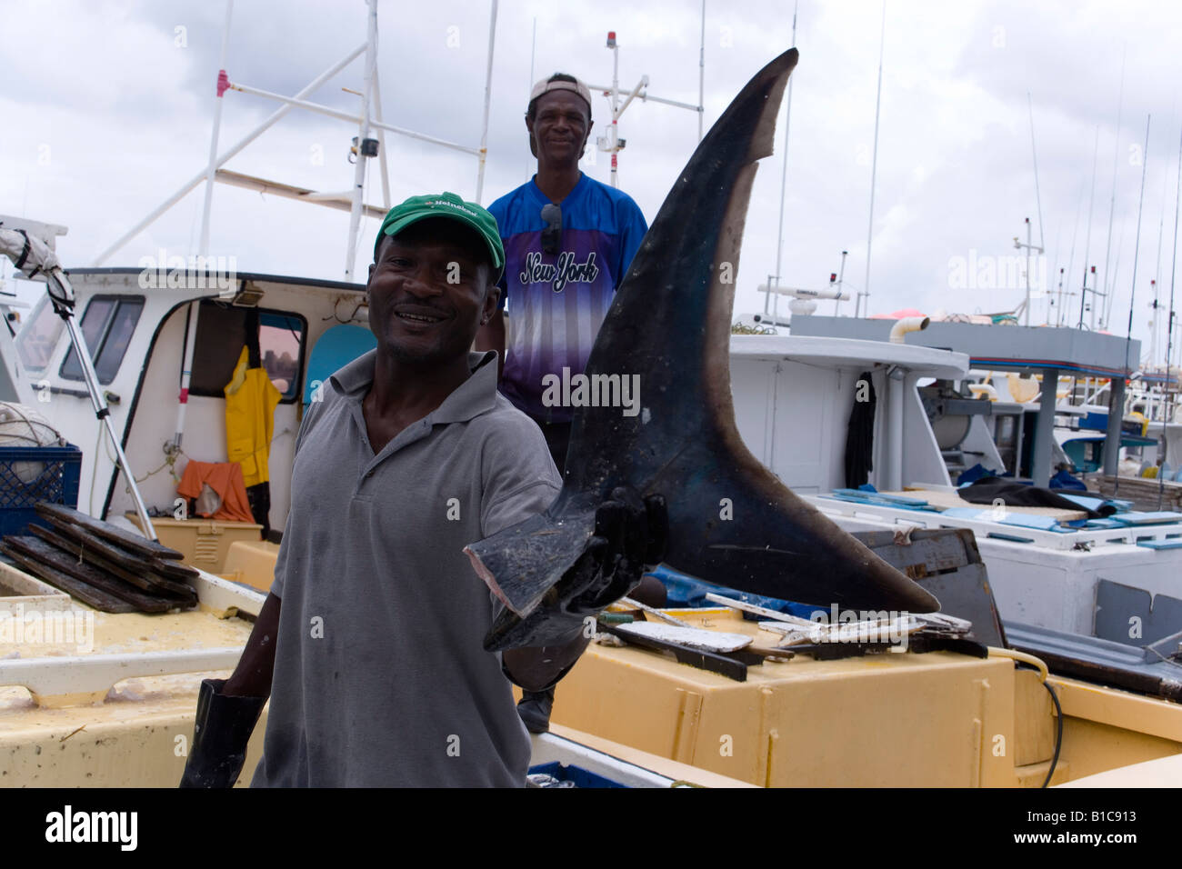 Fisherman holding a shark fin Bridgetown Barbados Caribbean Stock Photo