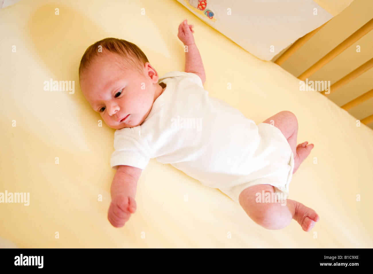 Baby lying in cot Stock Photo Alamy