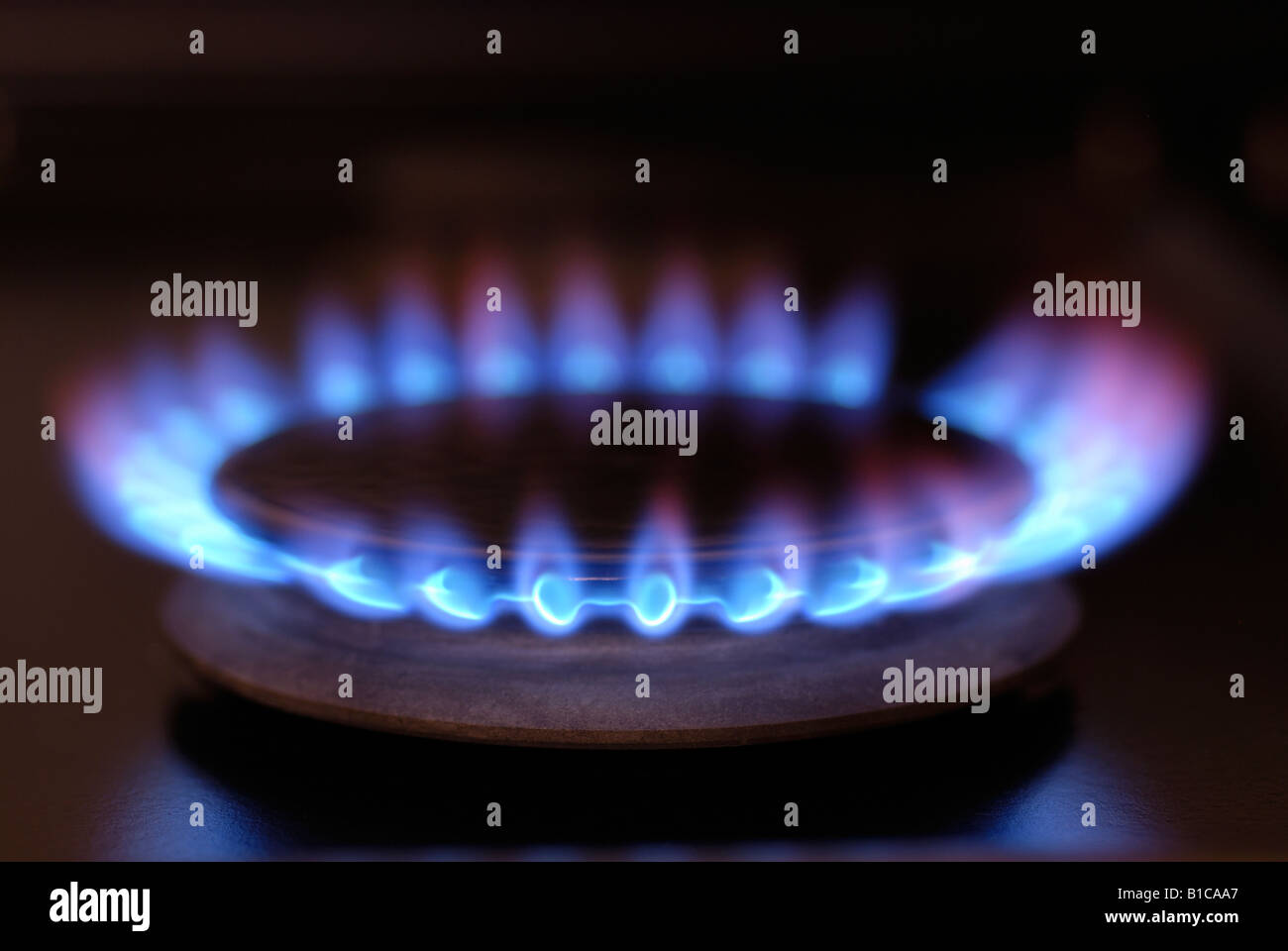 LIGHTED GAS BURNER ON DOMESTIC RANGE COOKER Stock Photo