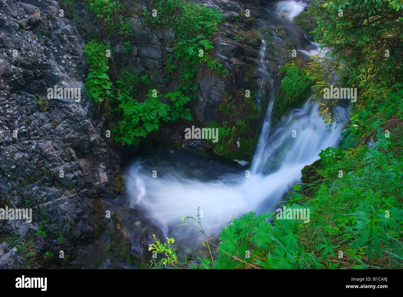 Shan creek hires stock photography and images Alamy