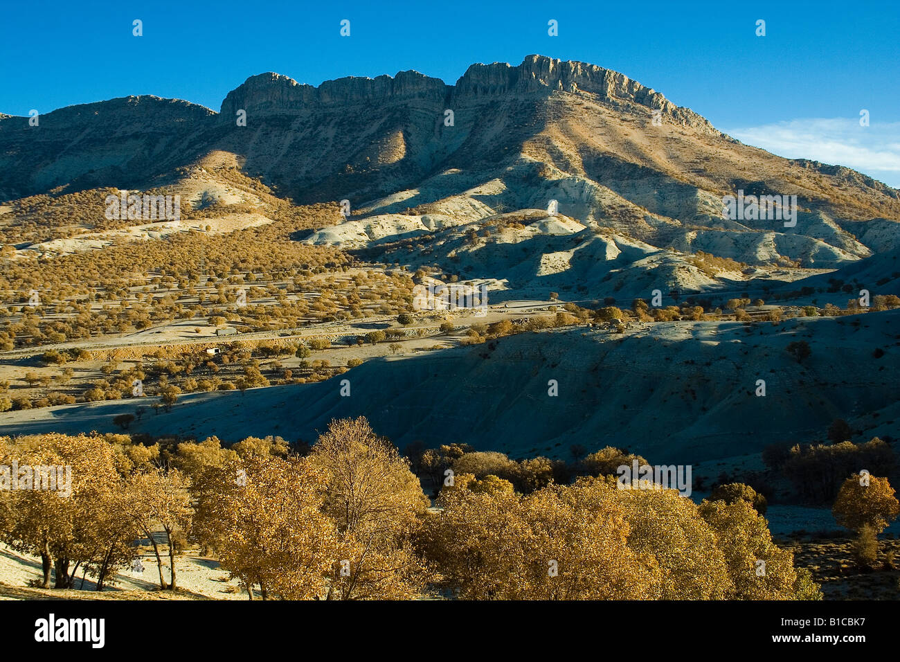 Asia,Iran,a view of the jungles of Zagros mountain,the jungles are not as dense as north jungles of Iran Stock Photo