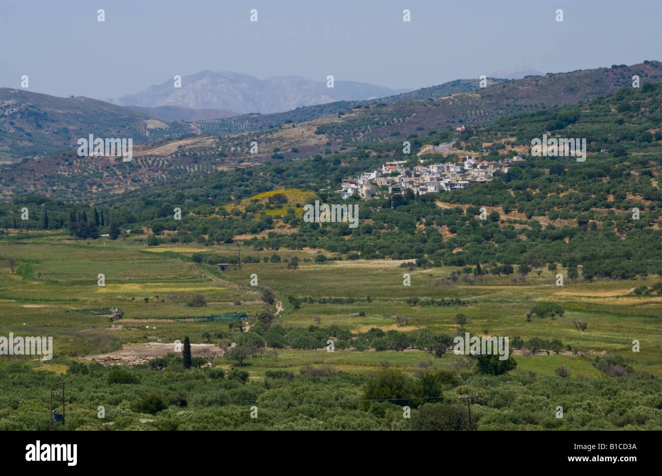 View over olive groves from village of Ano Viannos on southern slopes of Dikti mountain on Greek Mediterranean island of Crete Stock Photo