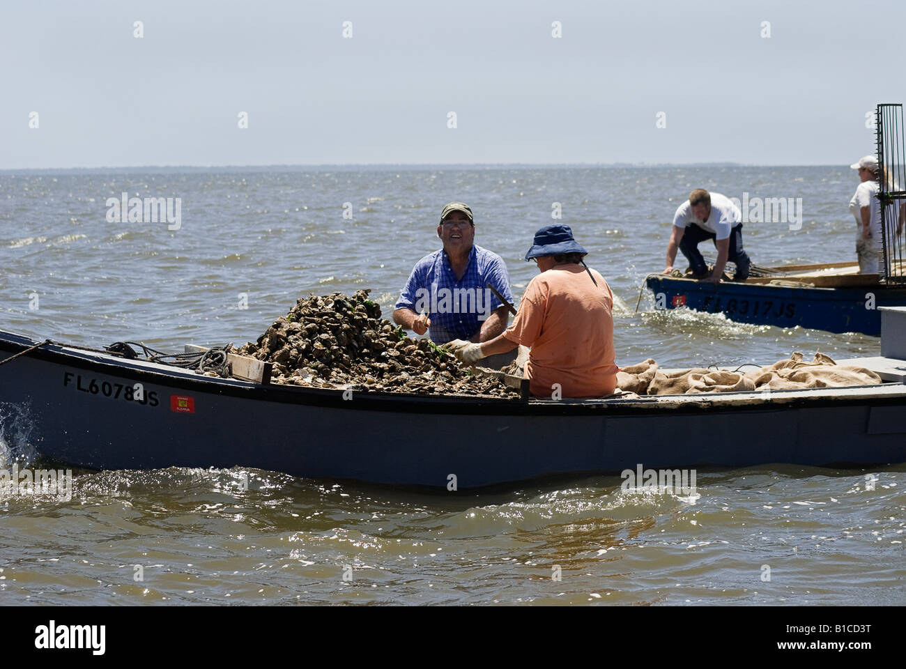 oyster tongers on Apalachicola Bay along North Florida panhandle coast Stock Photo