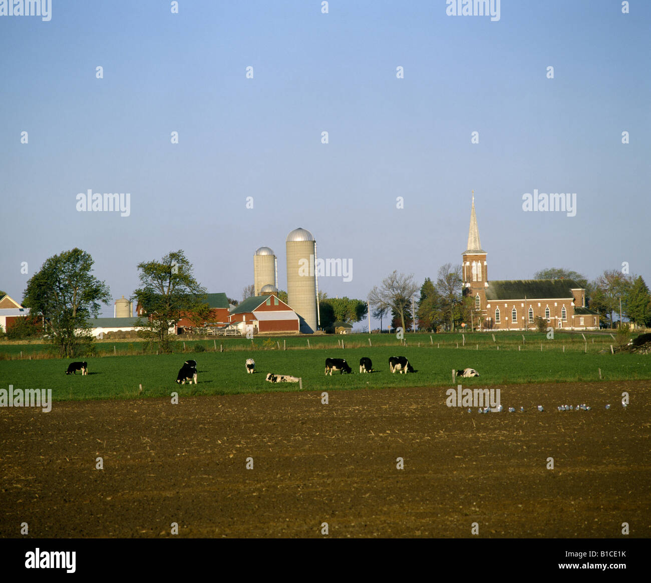 Wisconsin Dairy Farm Stock Photos & Wisconsin Dairy Farm Stock Images ...