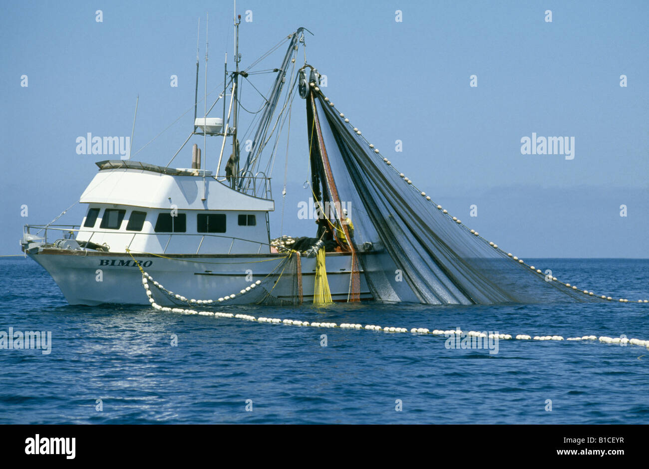 Purse seine nets hi-res stock photography and images - Alamy