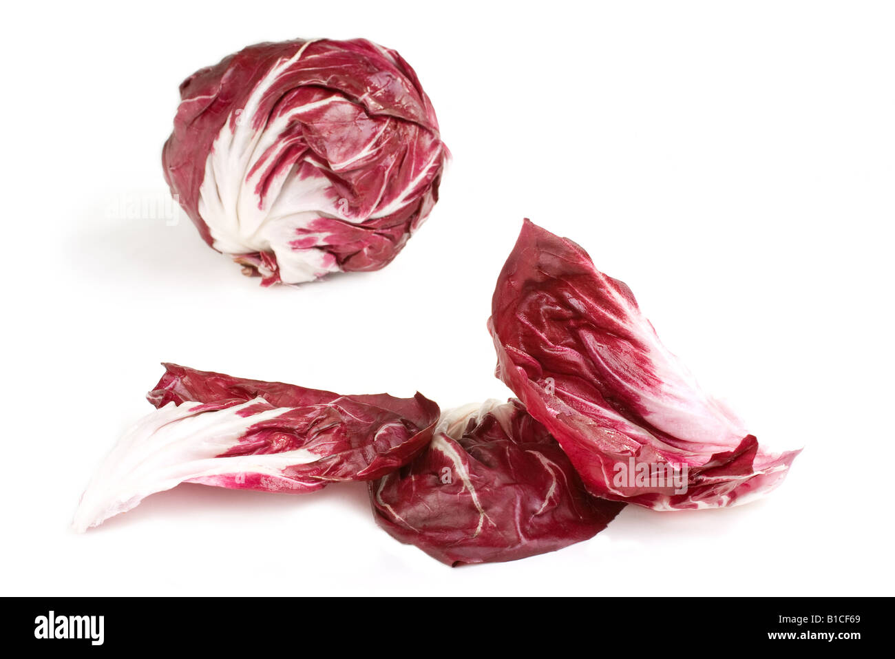 Fresh deep red white veined radicchio Stock Photo