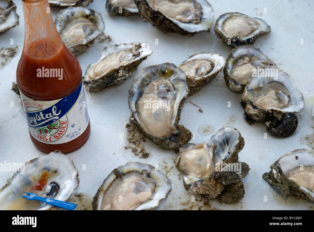 Apalachicola oysters hires stock photography and images Alamy