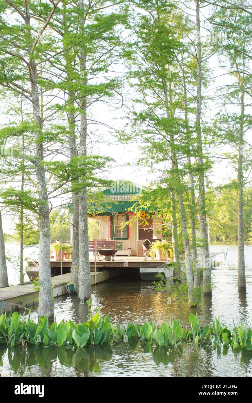 USA Louisiana LA Cajun Country Breaux Bridge Atchafalaya swamp near