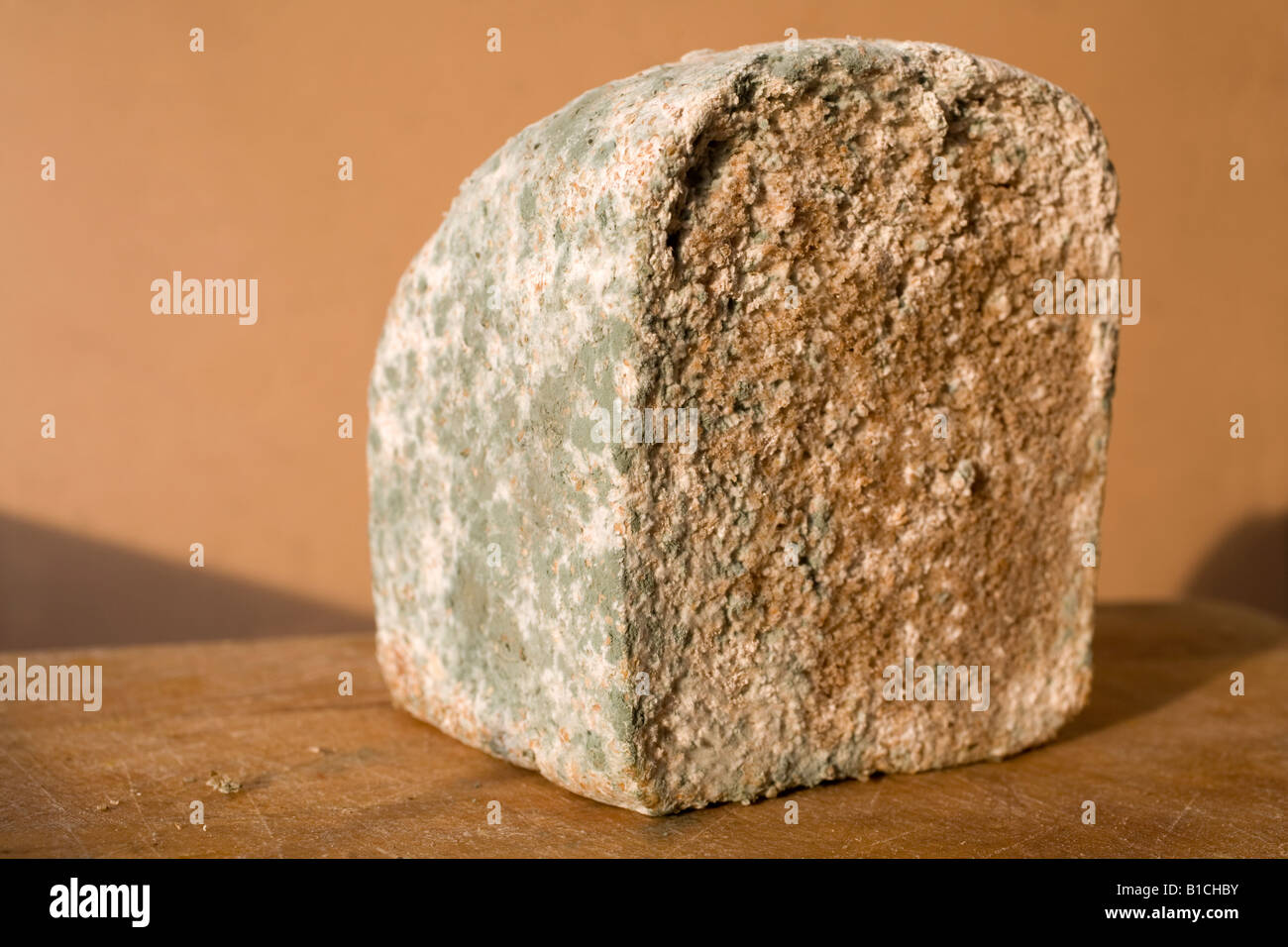Mouldy Bread Stock Photo - Alamy