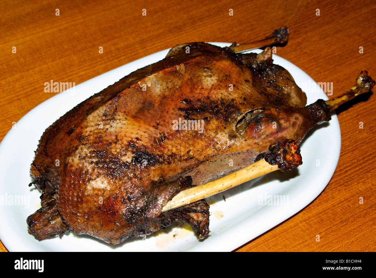 Featured image of post Recipe of Cooking Canada Goose