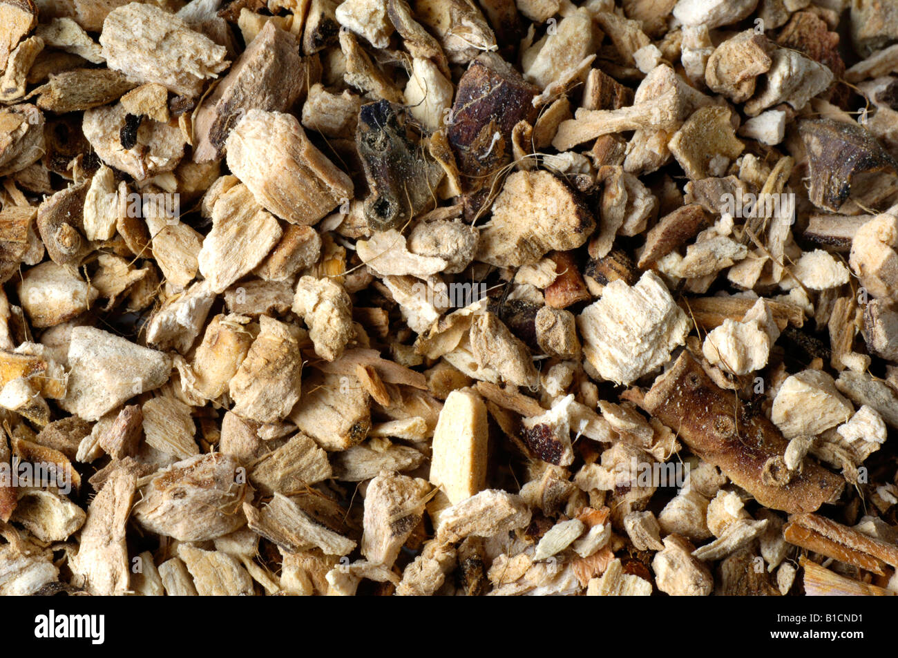 sweetflag, sweet sedge (Acorus calamus), dried rhizoms Stock Photo