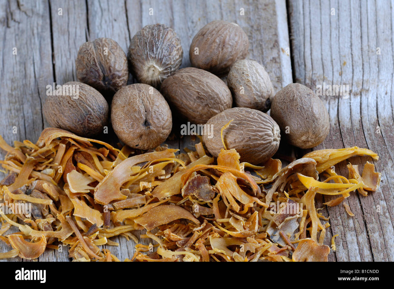 nutmeg, mace (Myristica fragrans), Nutmegs and blossoms Stock Photo Alamy