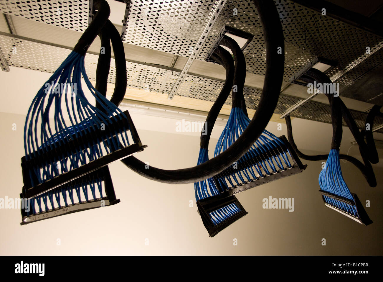 Data cables already attached to connectors hang from the ceiling of a comms room at new London offices under construction. Stock Photo