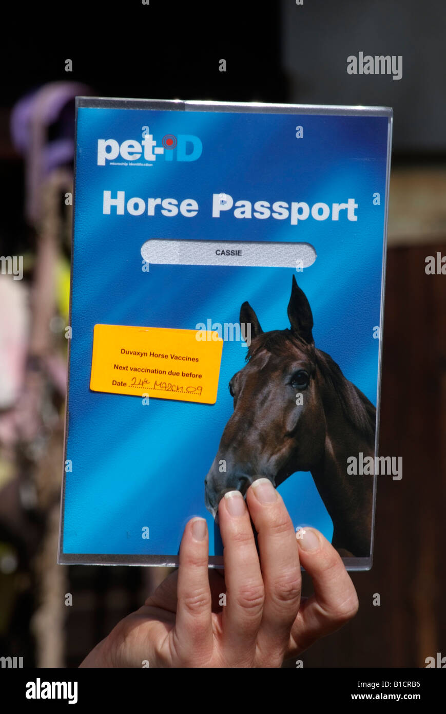 Pet ID Horse Passport folder document listing owner and animal details