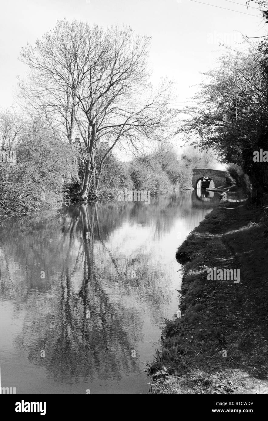 Reflection of a tree in a canal in monochrome Stock Photo - Alamy