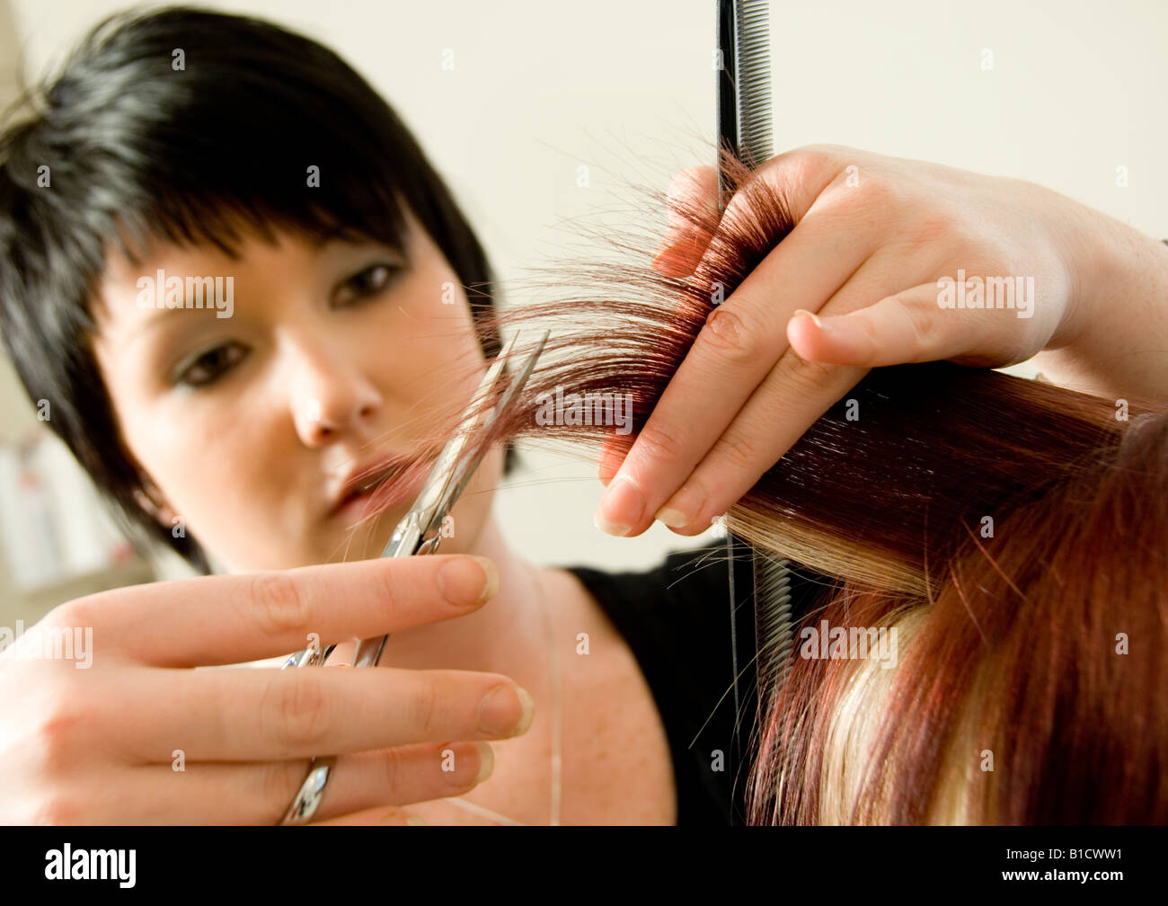 Hair stylist and client Stock Photo - Alamy
