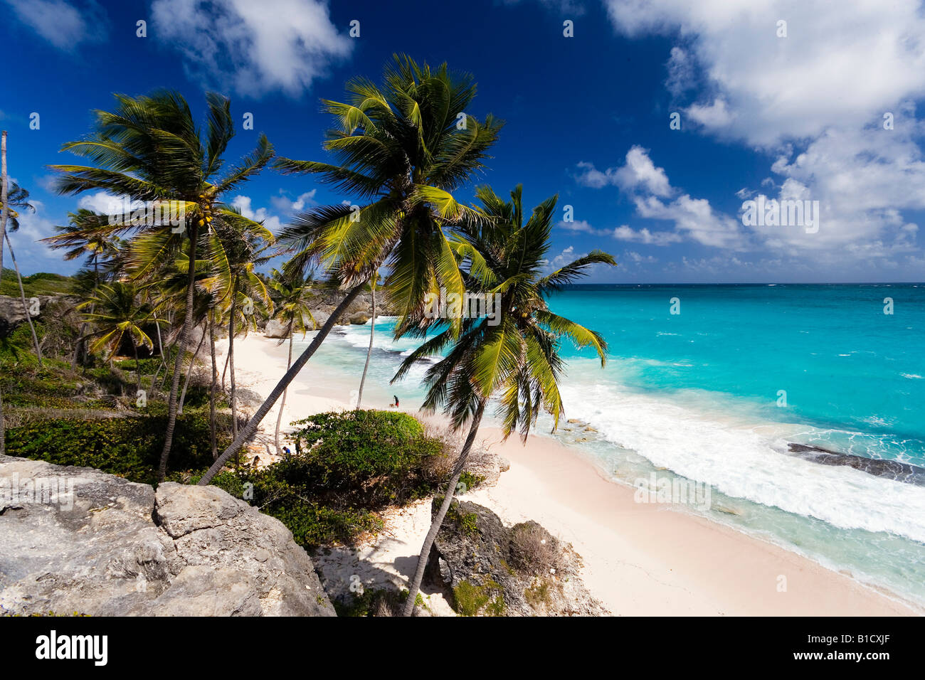 View over Harrismith Beach St Philip Barbados Caribbean Stock Photo
