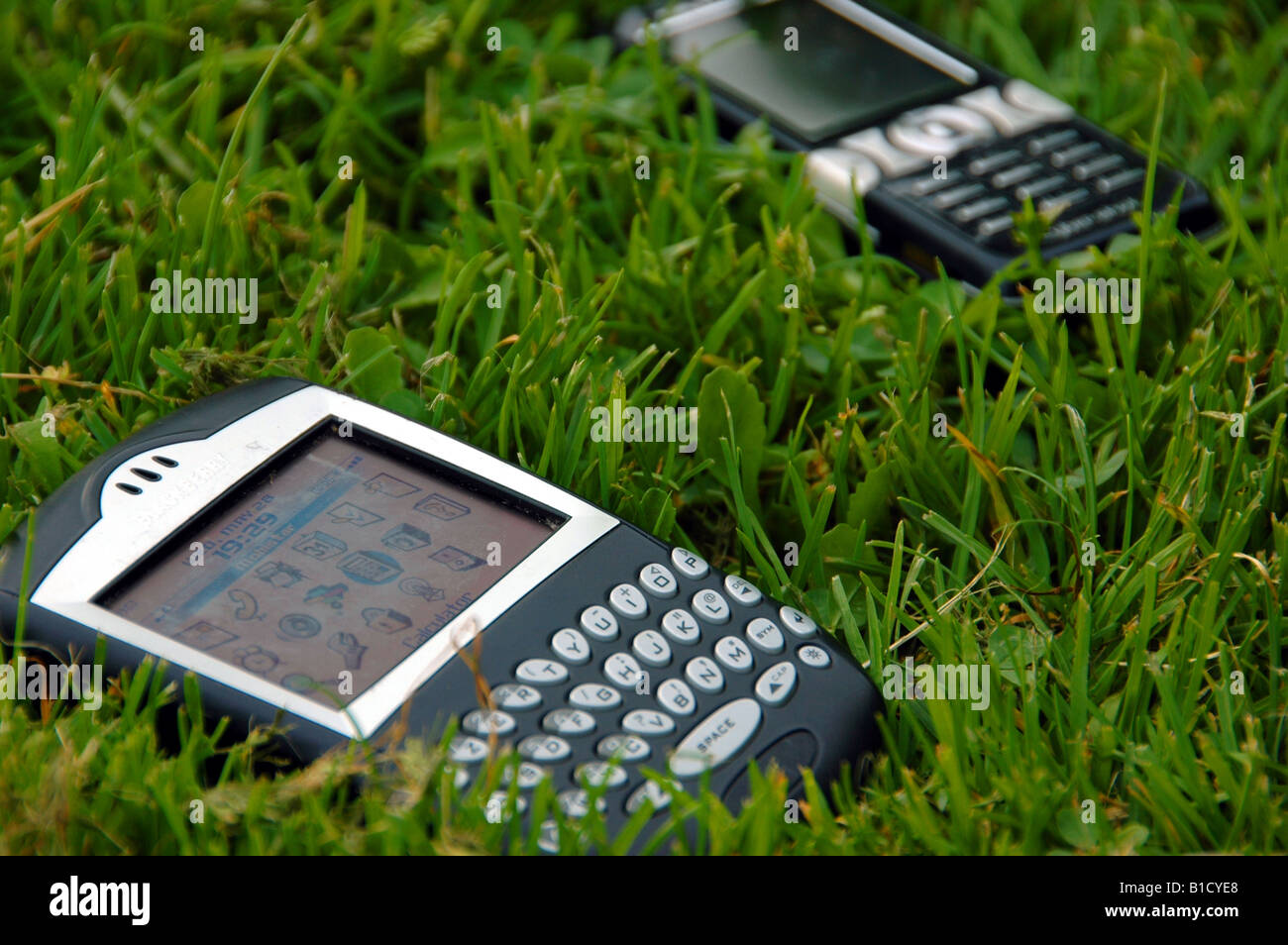 Mobile phone and blackberry lying in the grass Stock Photo