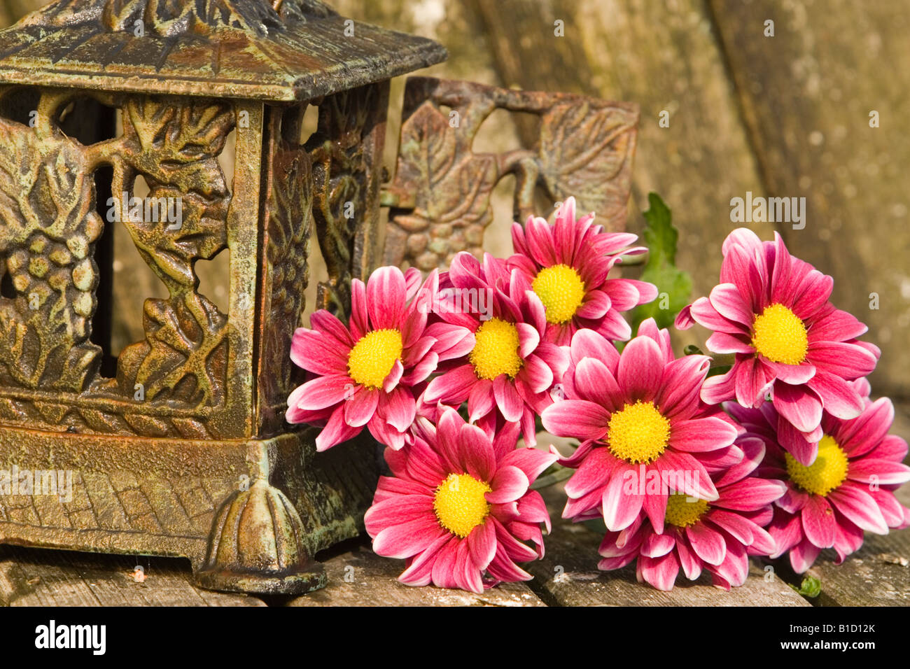 Cut flowers in garden lantern Stock Photo