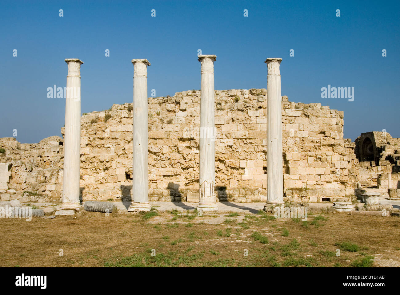 Four White Pillars of the Gymnasium Courtyard Standing in a Row at the ...