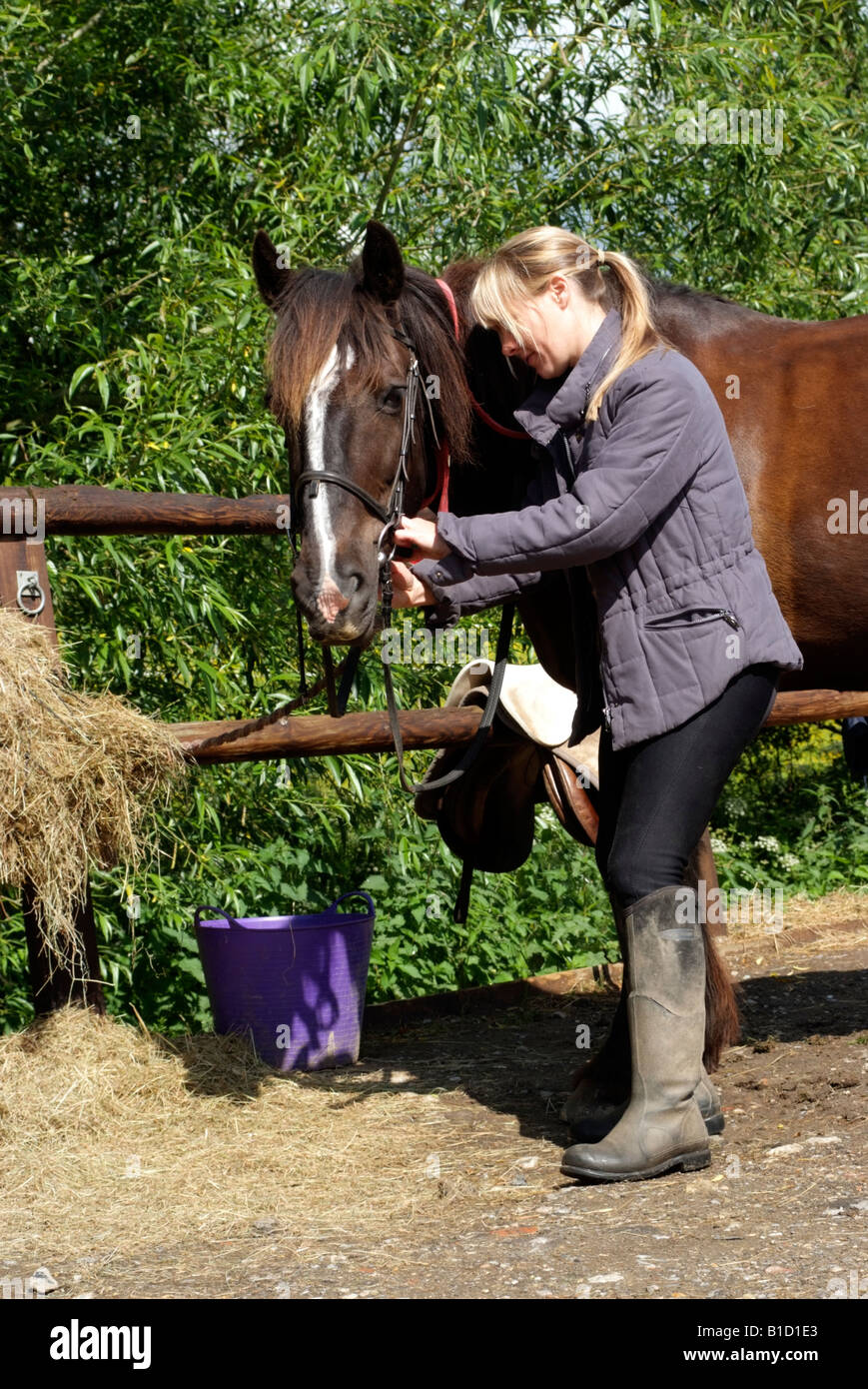 Putting on the bridle to a horse The headgear is being adjusted by a