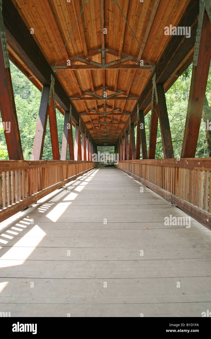 An old wooden bridge leading deeper into the forest Stock Photo - Alamy