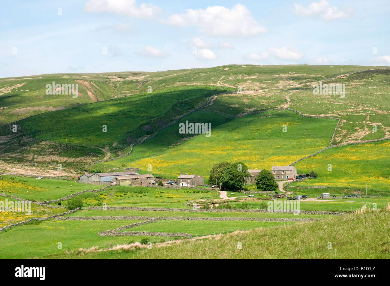 Remote Ravenseat farm, nr Keld, Swaledale, Yorkshire Dales, Northern ...