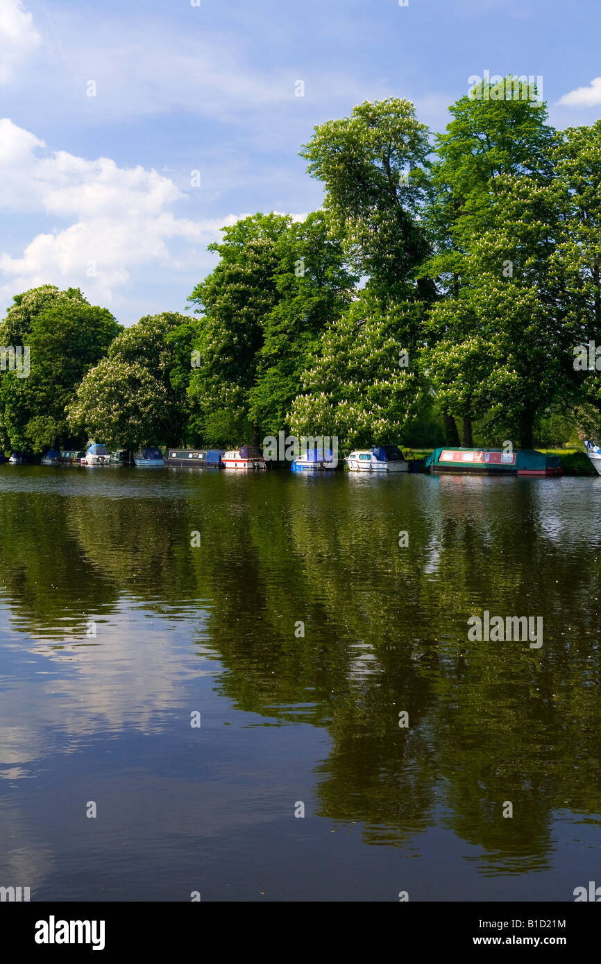 View of the River Thames in Pangbourne West Berkshire England UK with trees reflected in water and small boats moored on bank Stock Photo
