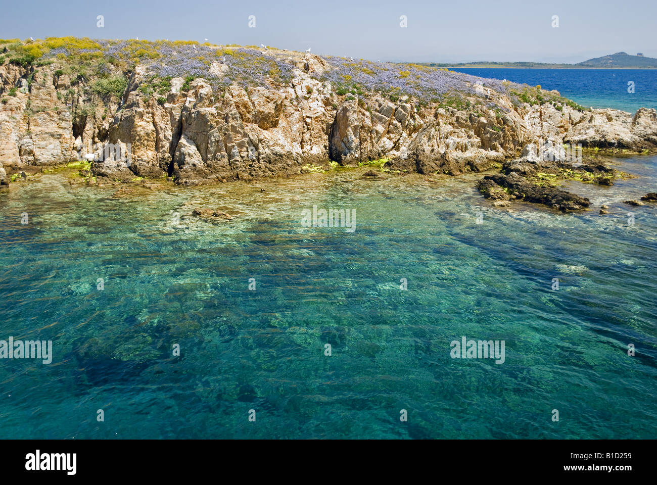 Seascape scene of Ayvalik Islands Turkey Stock Photo