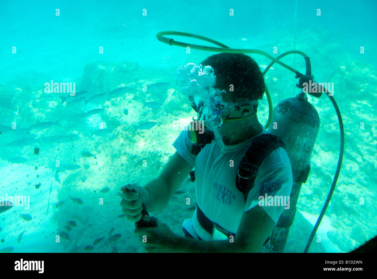 Young Man Scuba Diving and Feeding the Fish in the Blue Waters of the Mediterranean Sea Agia Napa Cyprus Stock Photo