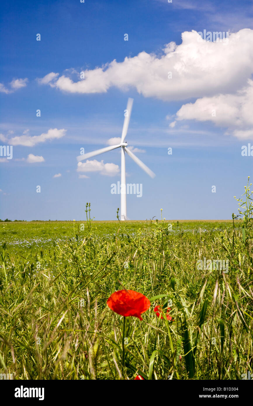 Single wind turbine against a summer sky with red poppy in the foreground, Oxfordshire, England, UK Stock Photo