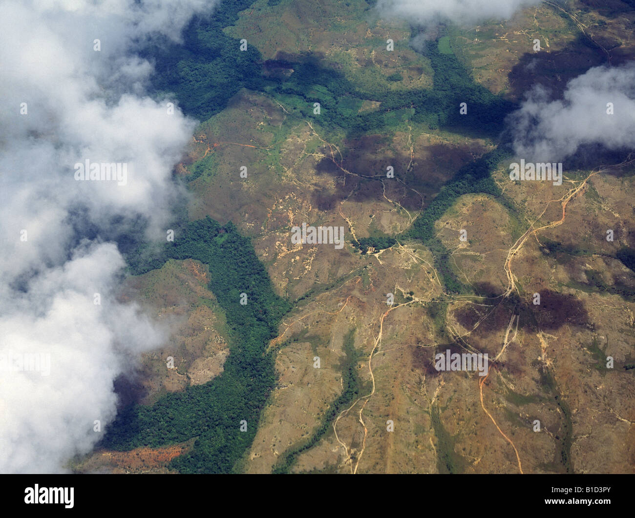 An aerial view of sections of rain forest that have been logged and then burned off by local farmers Stock Photo