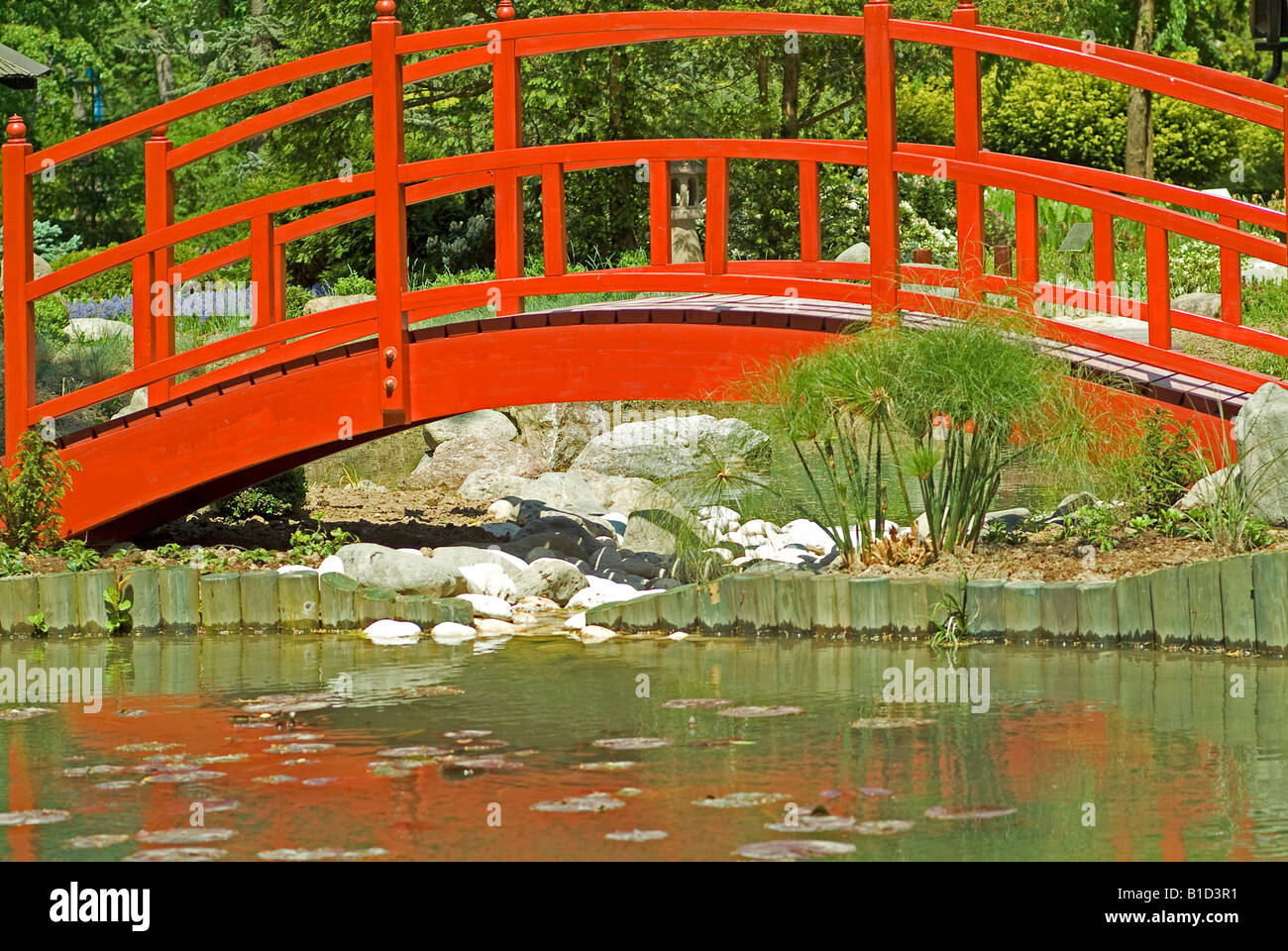 red bridge over a pond in japanese garden in the flower park Mozirski