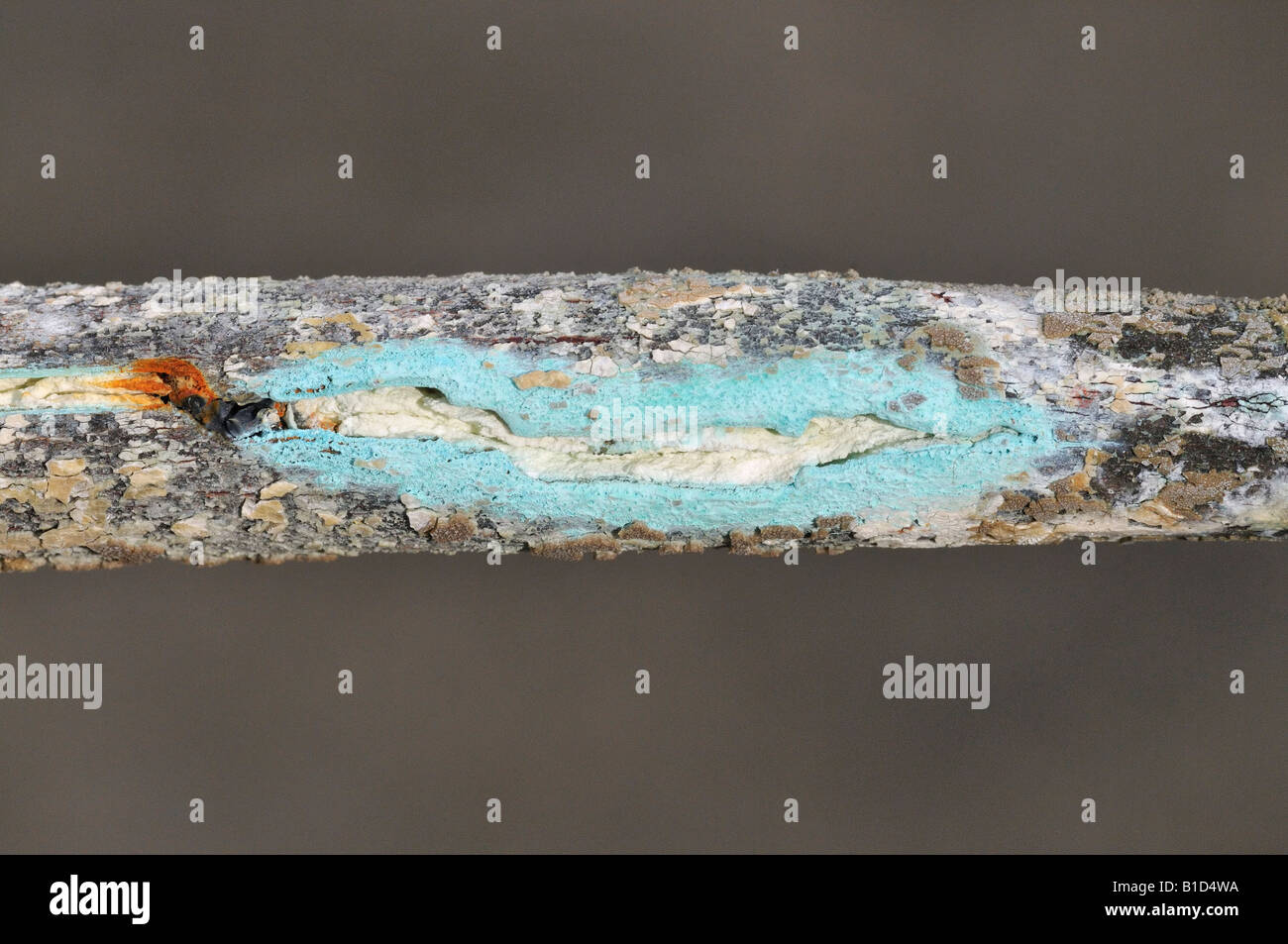 Badly corroded Immersion Heater Element Stock Photo Alamy