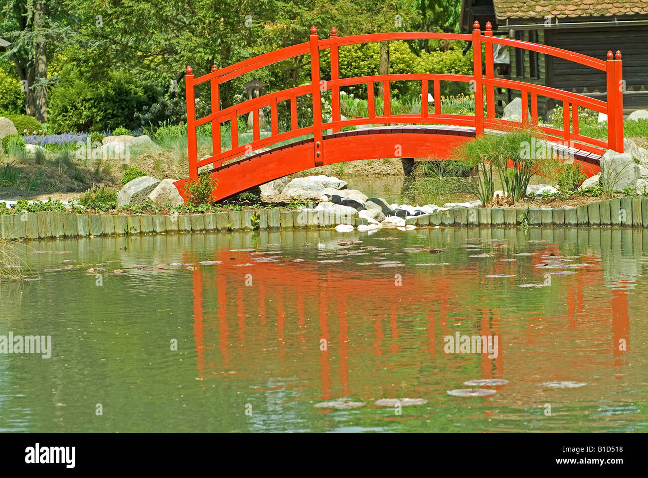 red bridge over a pond in japanese garden in the flower park Mozirski ...