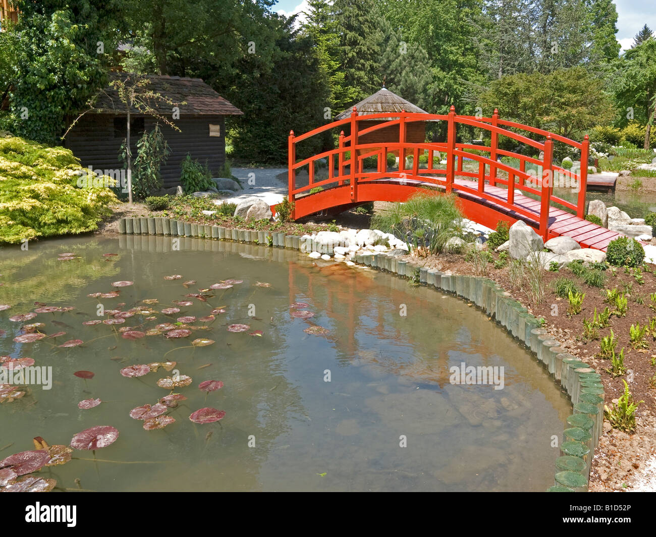 red bridge over a pond in japanese garden in the flower park Mozirski ...