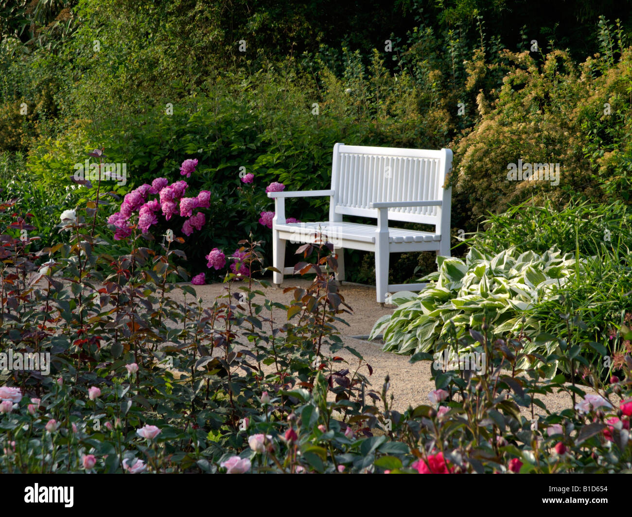 Perennial garden with bench Stock Photo