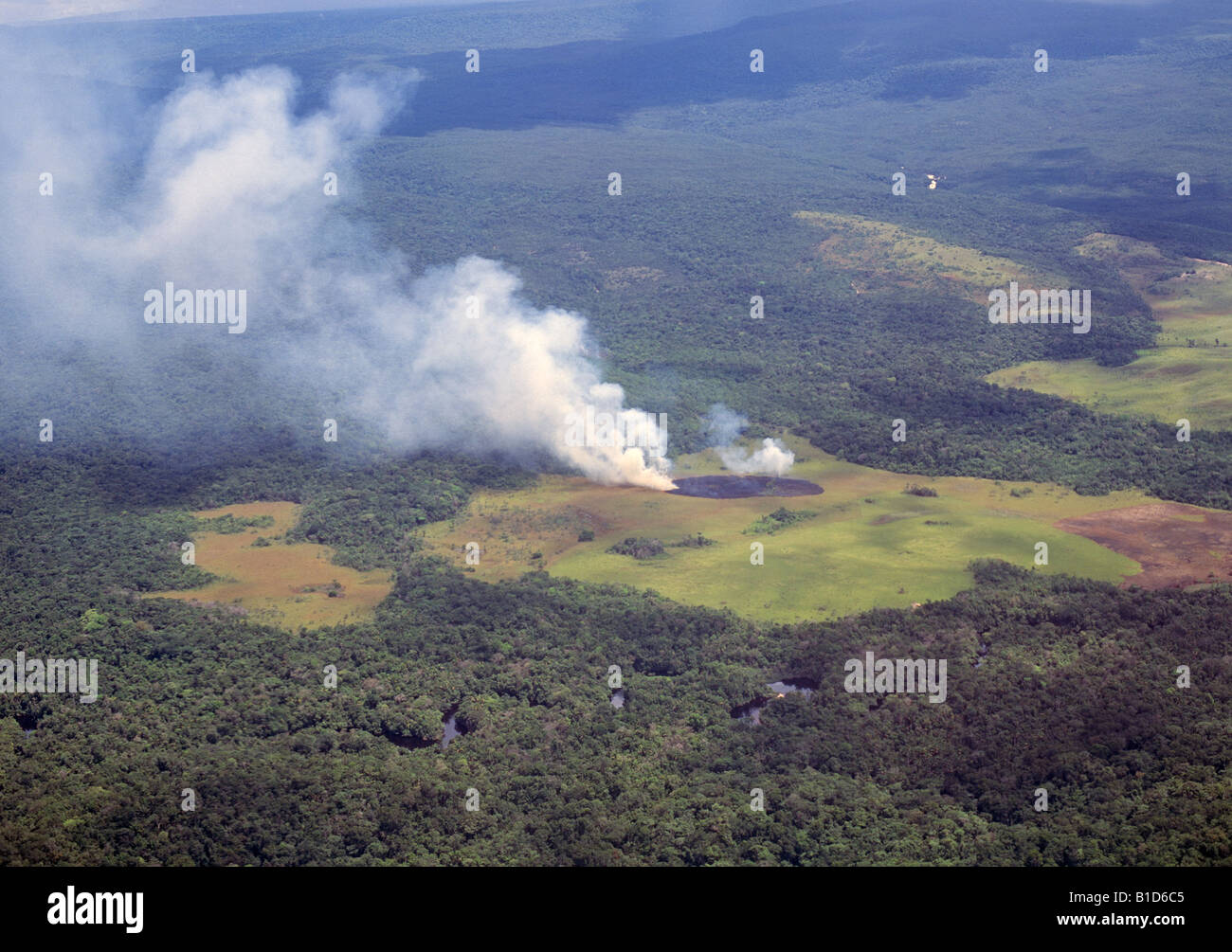 Local Indians burn off a section of grassland in the middle of a huge rain forest to fertilize the earth for farming Stock Photo