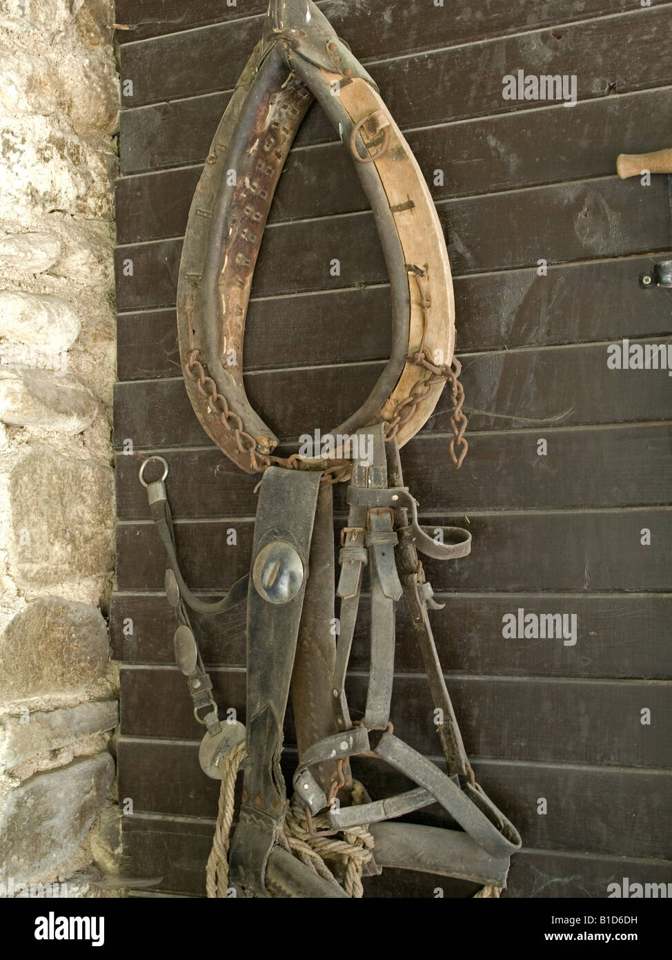 harness yoke rows of old yokes for horse hanging on wall of a barn in