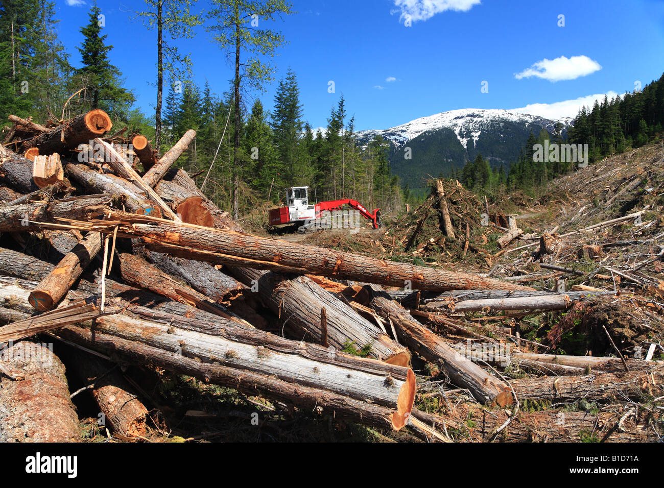 Logging operation on south side of Skeena river between Terrace and