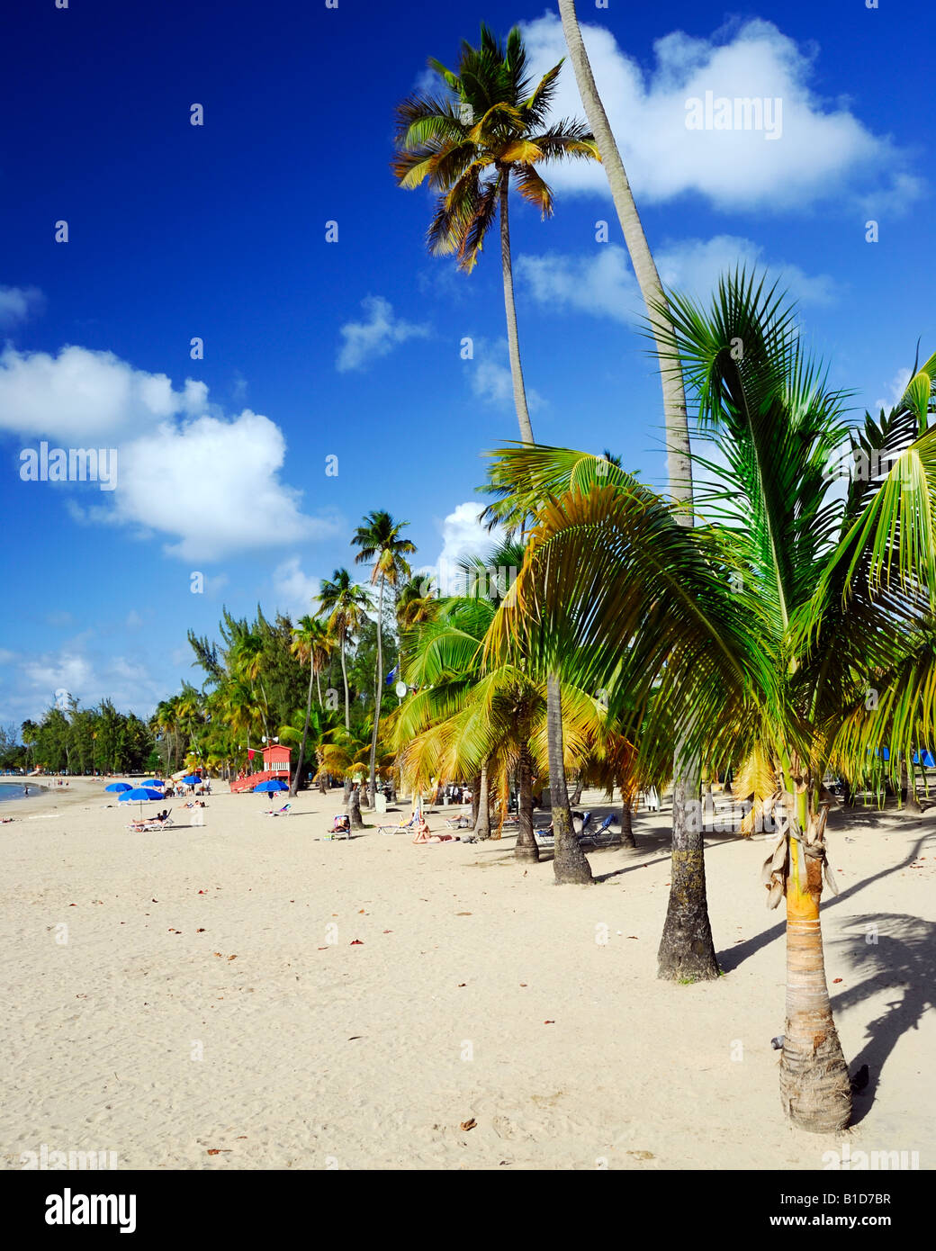 Luquillo Beach (Balneario Luquillo) & Mar Sin Barreras in Luquillo