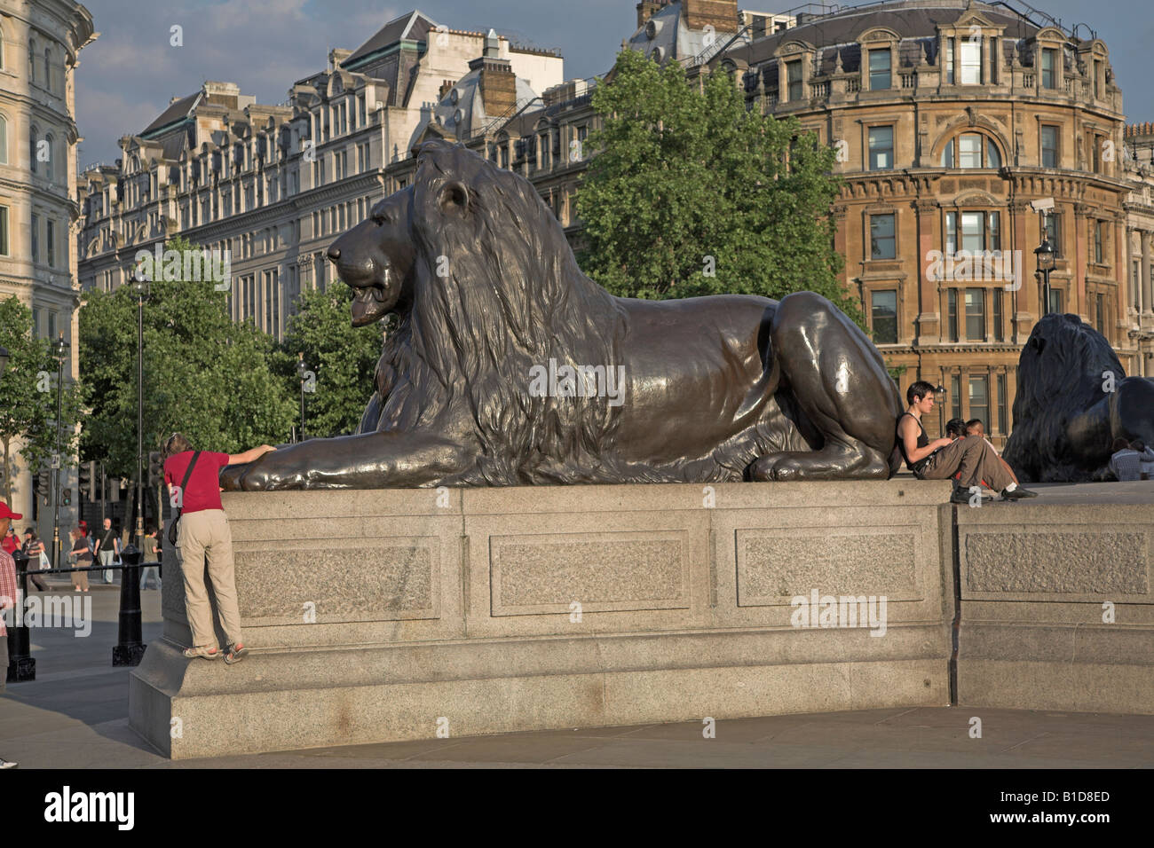 Lion statue, Trafalgar Square, London Stock Photo Alamy