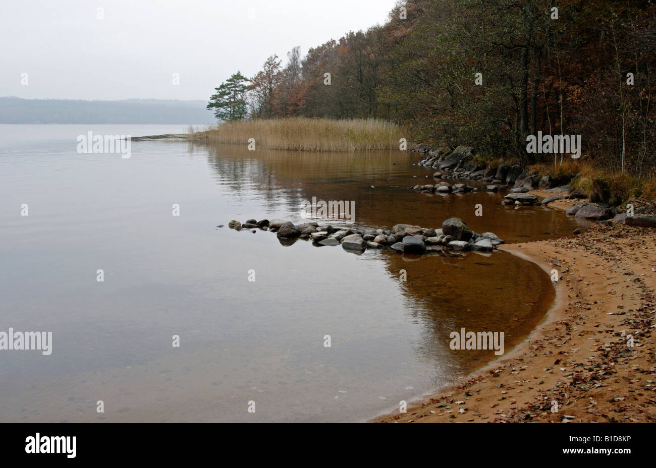 Autumn colours at the lake Stock Photo