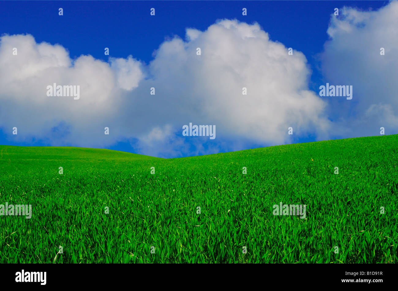 paradise landscape with clear blue sky and white clouds Stock Photo - Alamy