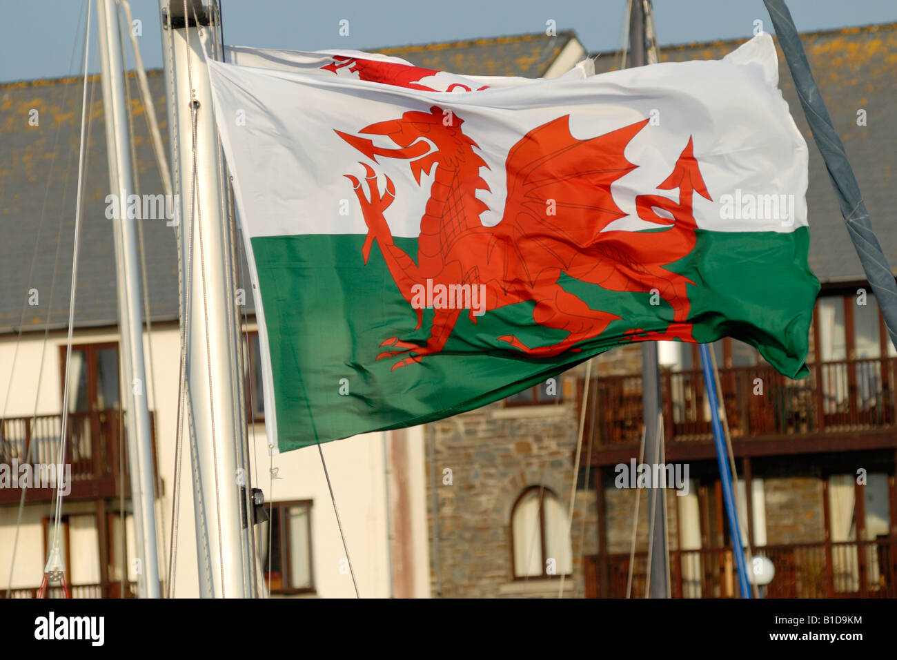 Welsh flag flying from a yacht s mast in Aberystwyth harbour Stock Photo