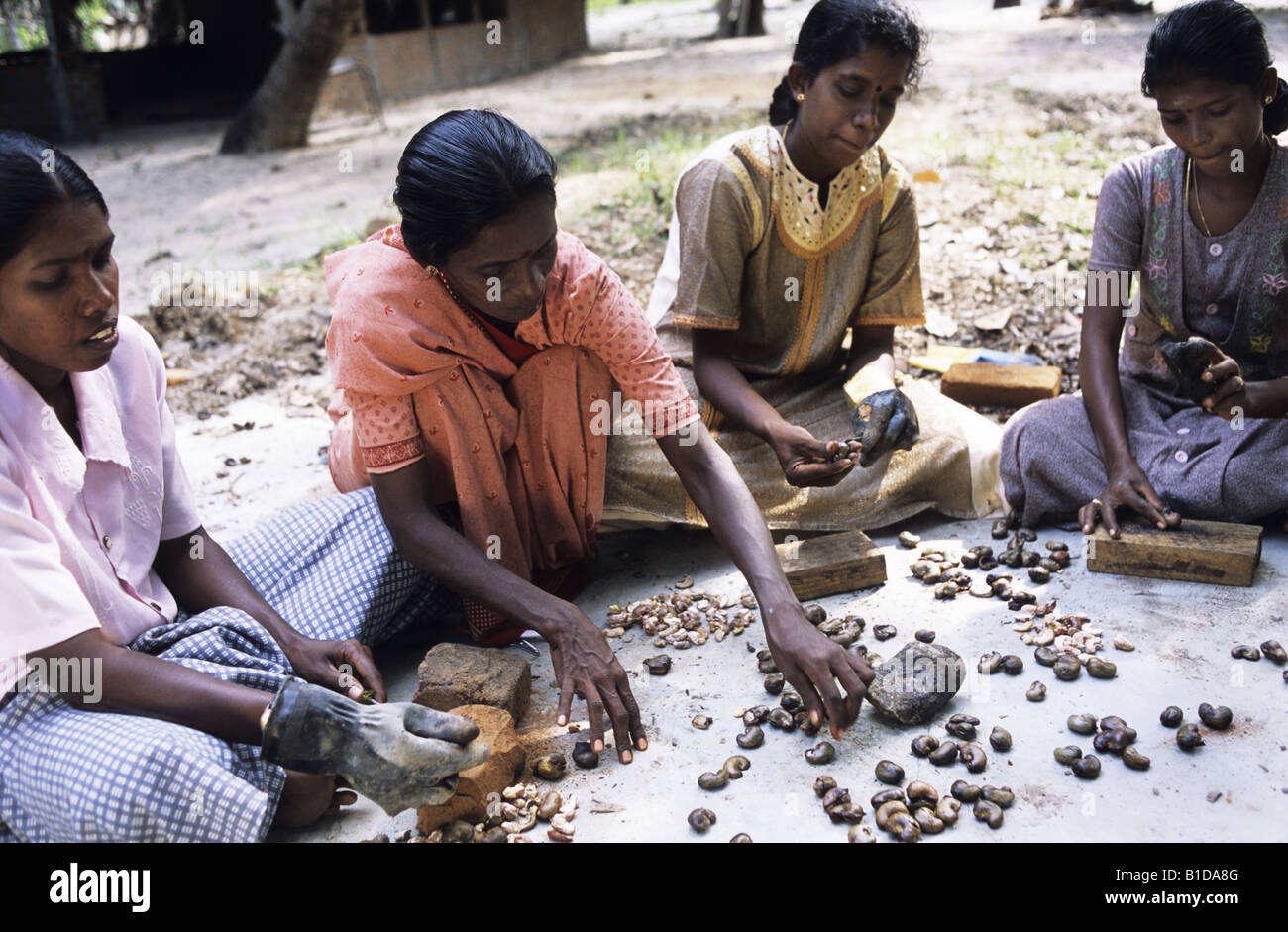 Cashew nut processing The nuts give off an acid which burns the workers