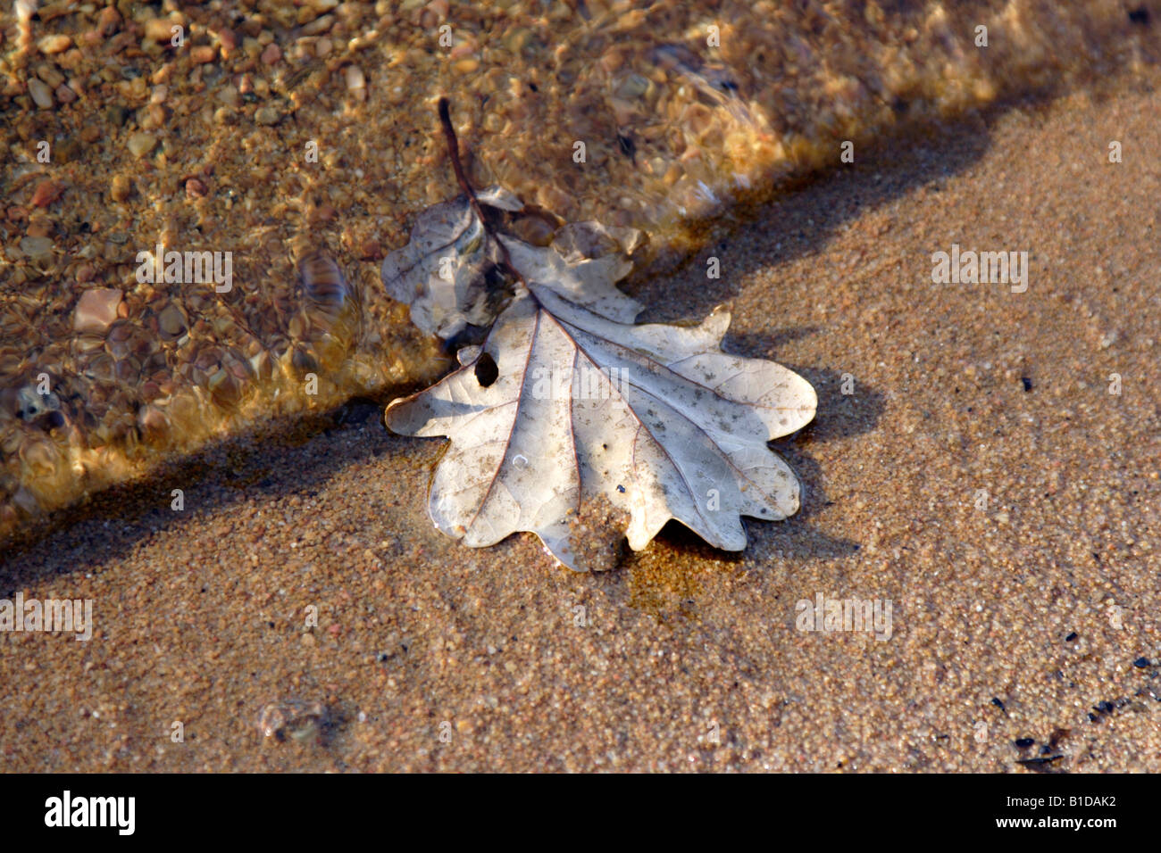 Autumn light playing on the water surface Stock Photo