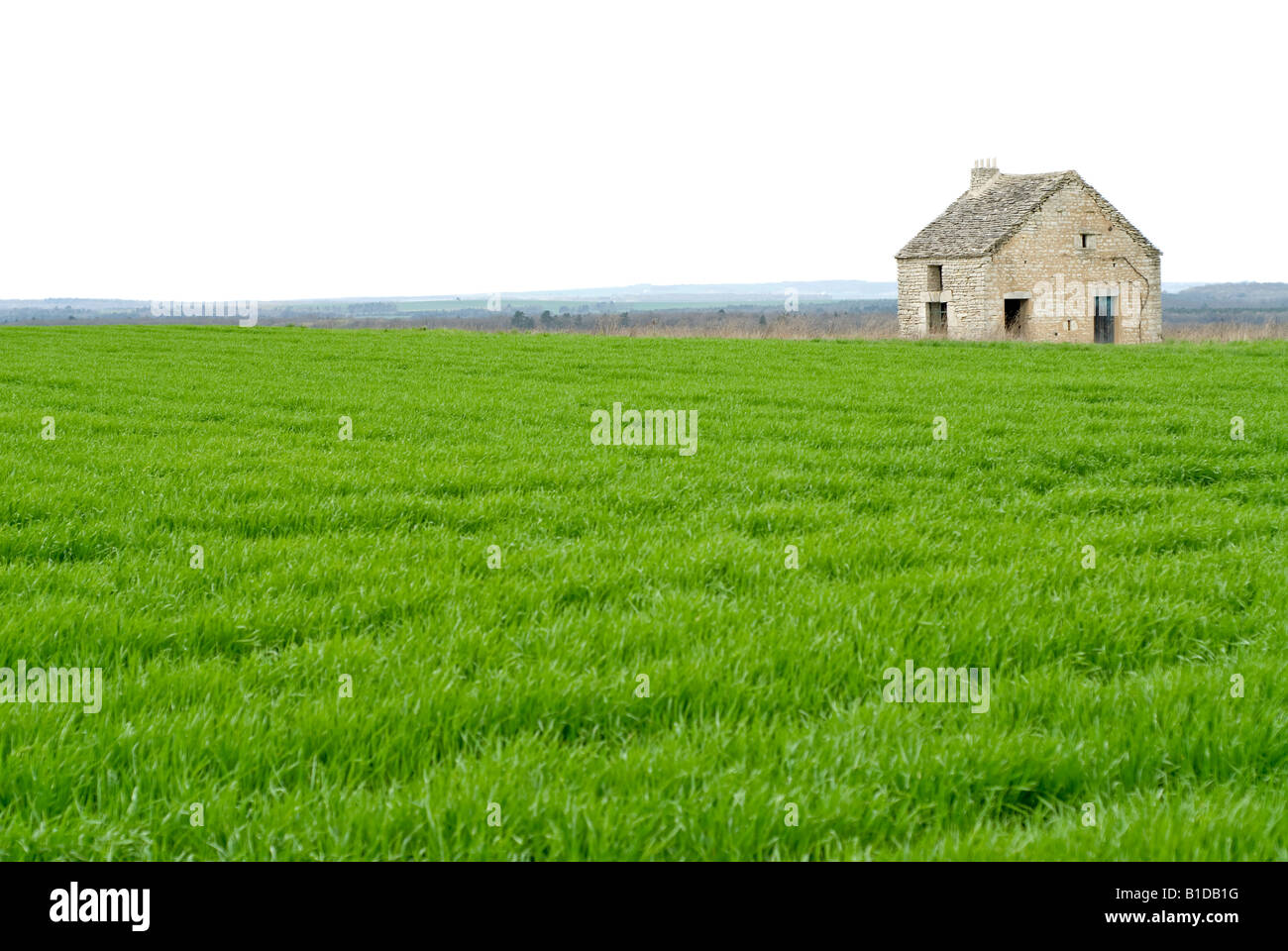 Solitary stone farm house in a green field Stock Photo - Alamy