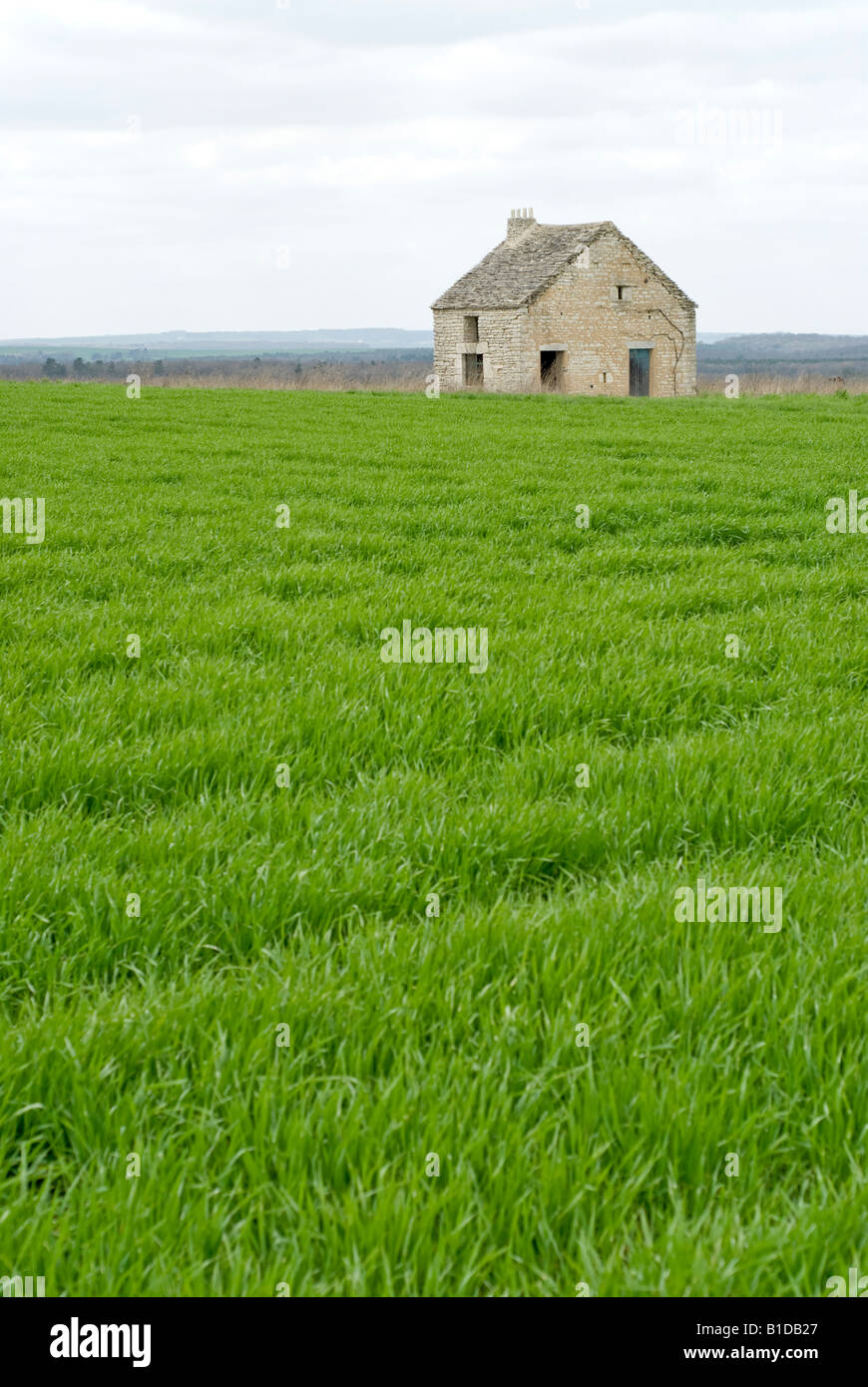 Solitary stone house in a lush green field Space for text copy Stock ...