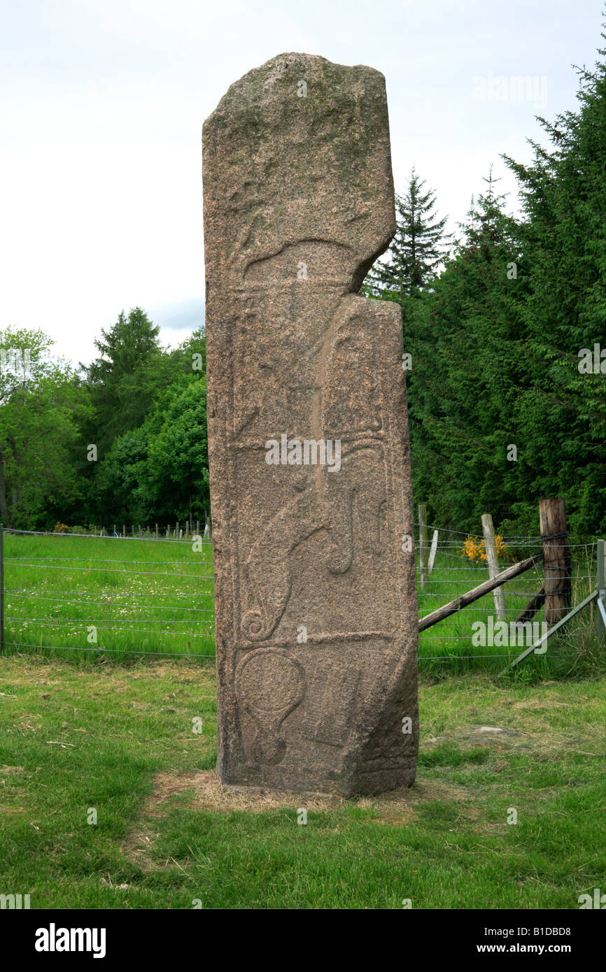 Maiden Stone, Pictish Monument near Inverurie, Aberdeenshire, UK. Stock Photo